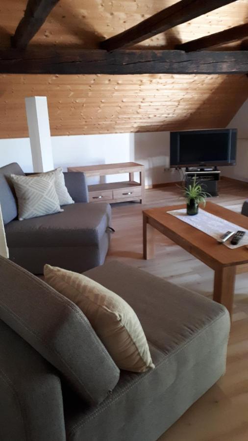 Feriendomizil Annette'S Scholle Apartment Sondershausen Luaran gambar
