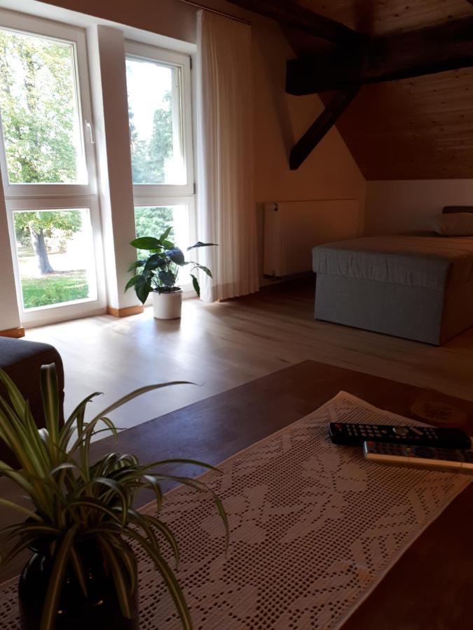 Feriendomizil Annette'S Scholle Apartment Sondershausen Luaran gambar